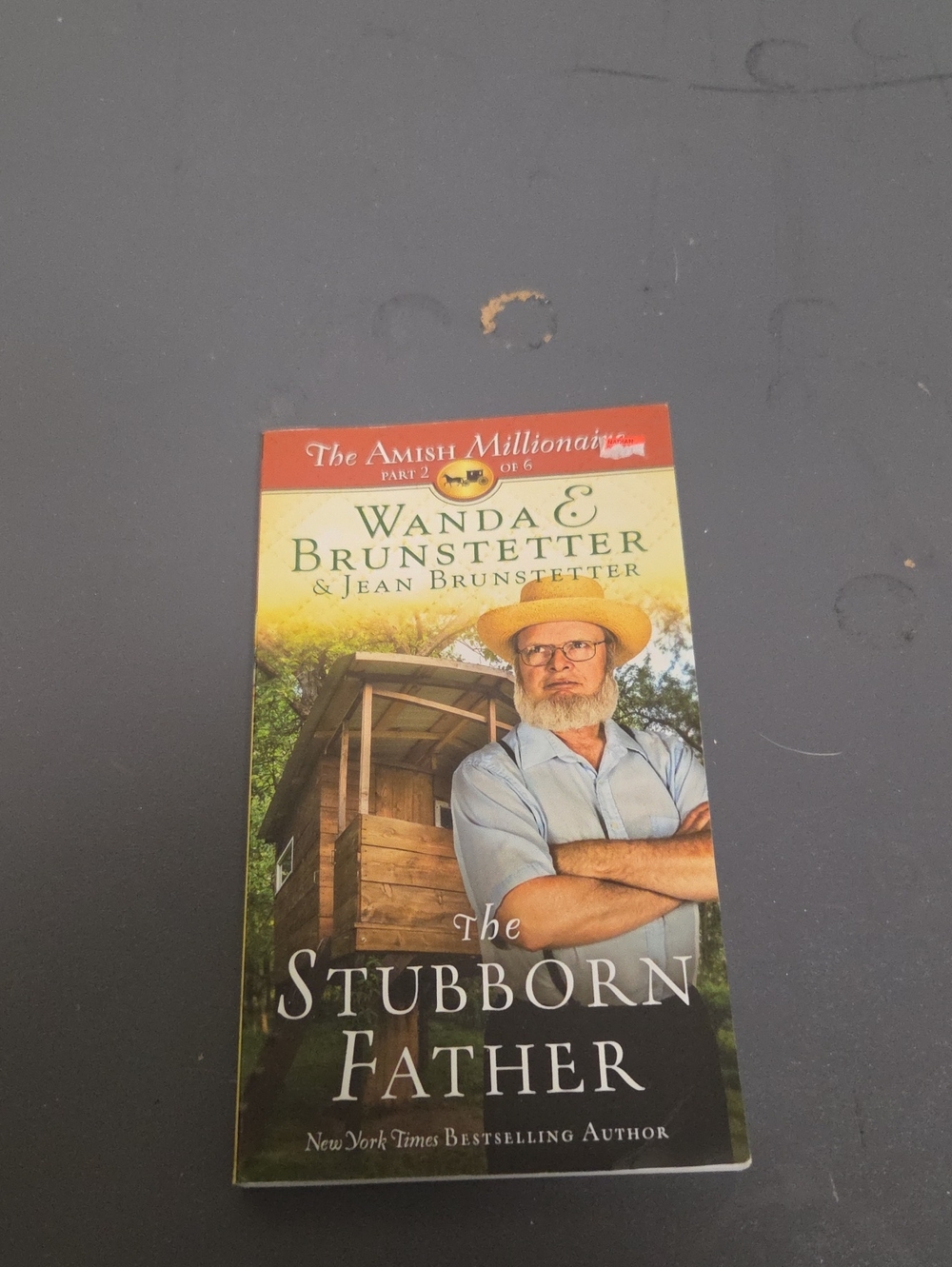 The Stubborn Father - Paperback Book (Green, Red)